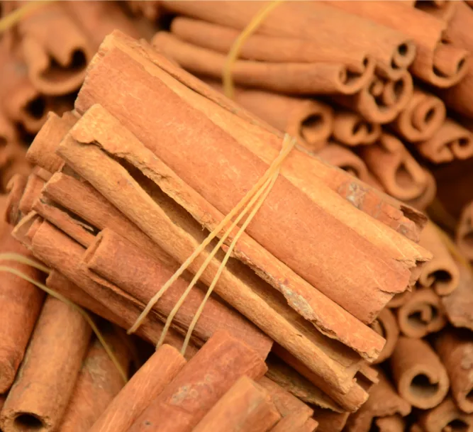 Cinnamon sticks bundled