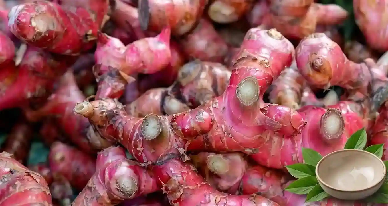 Aceh Red Ginger