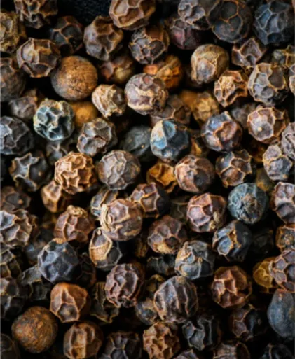 Lampung Black Pepper