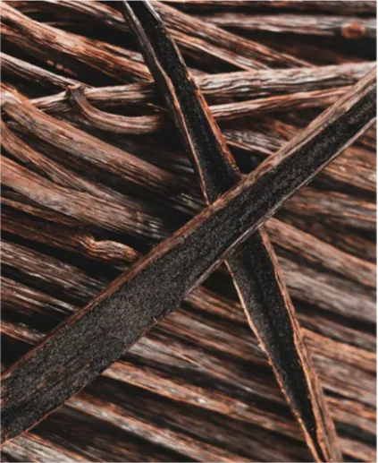 Papua Vanilla