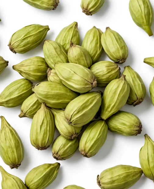 Toraja Green Cardamom